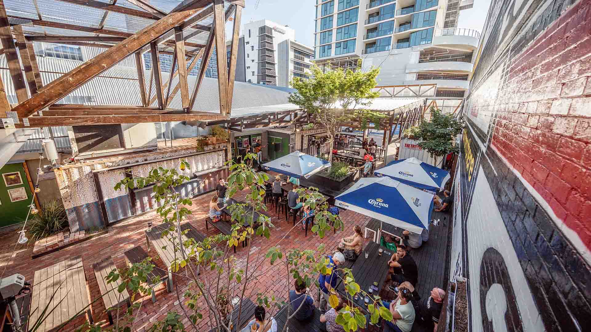 Triffid - one of the best beer gardens in Brisbane.