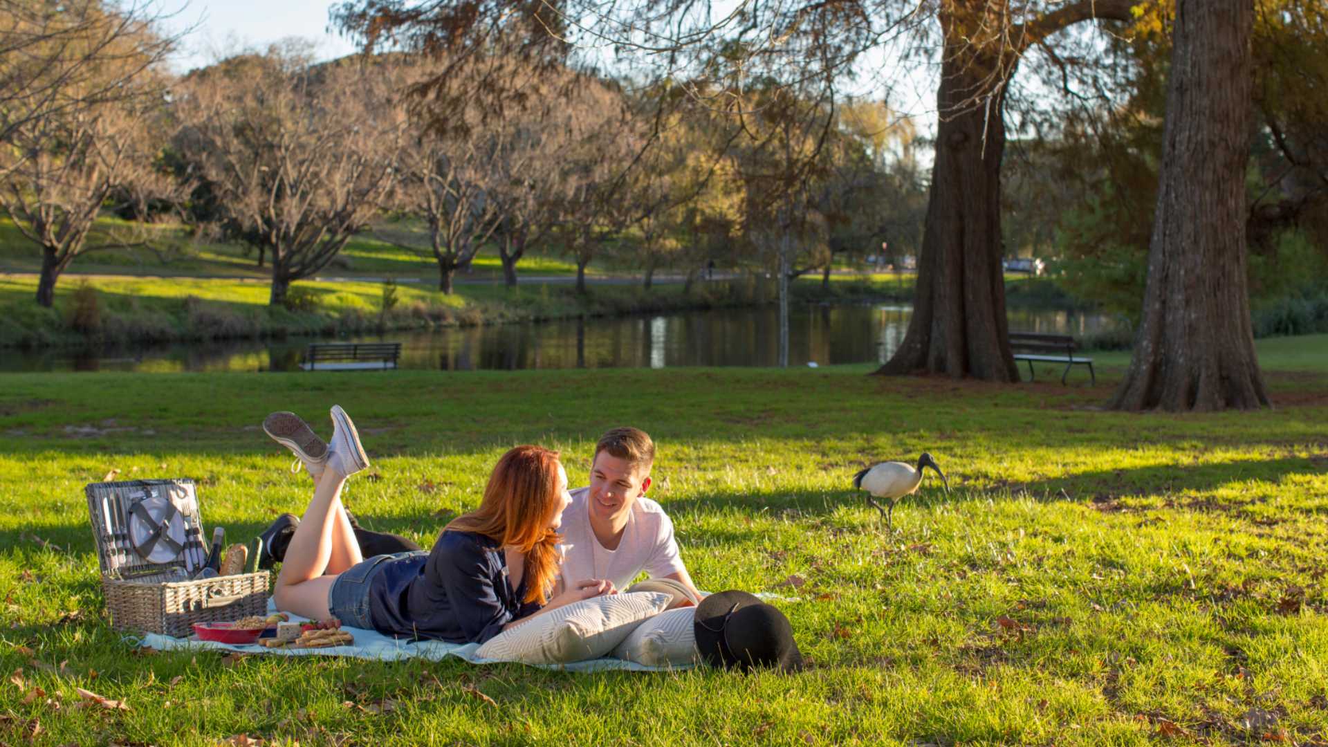 couple having a picnic in Centennial Parklands