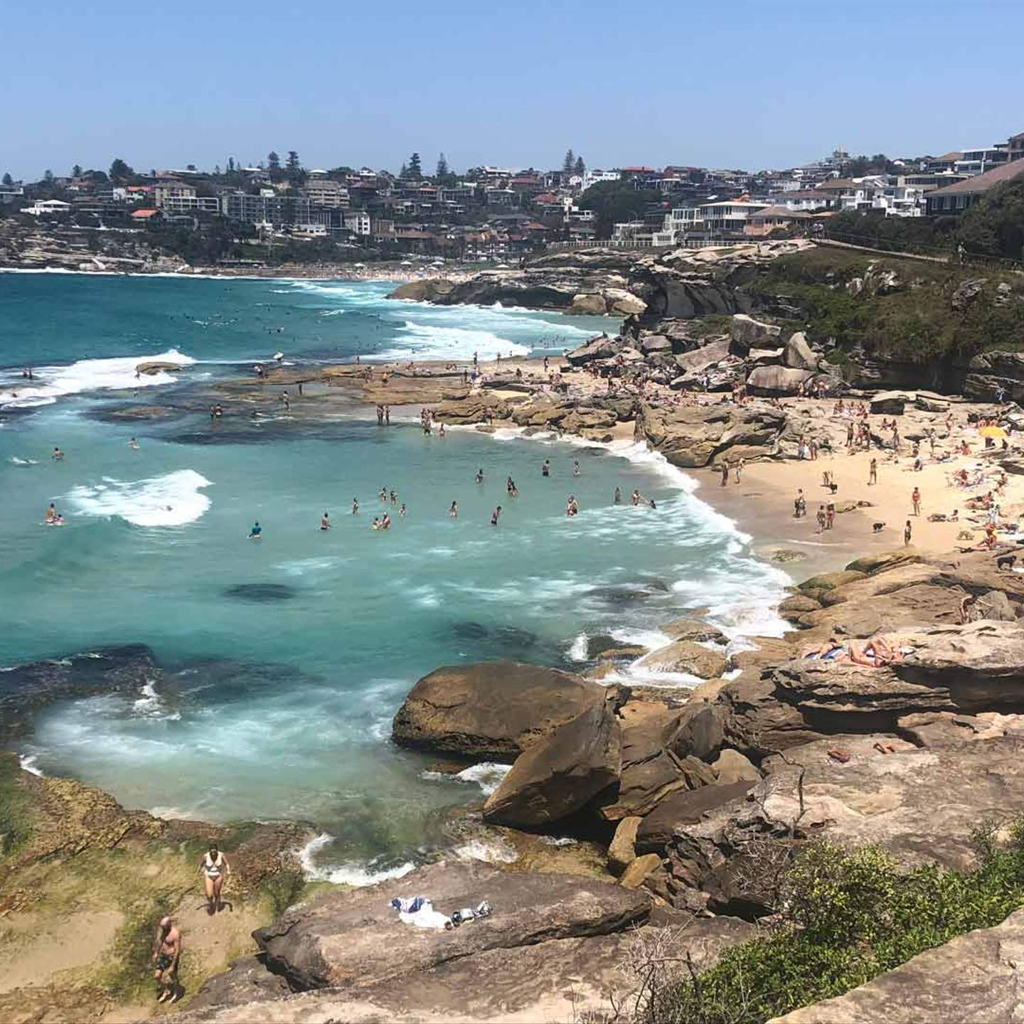 Sydney S Disappearing Mackenzies Bay Beach Has Made A Triumphant Return Concrete Playground Concrete Playground Sydney
