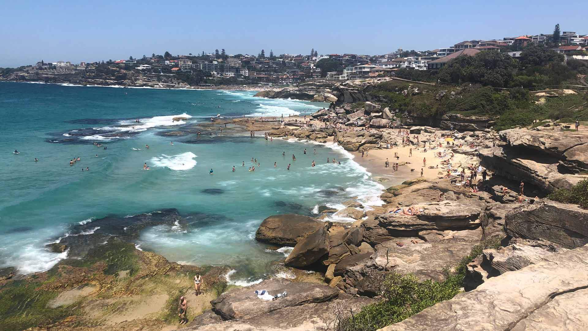 Sydneys Disappearing Mackenzies Bay Beach Has Made A Triumphant Return