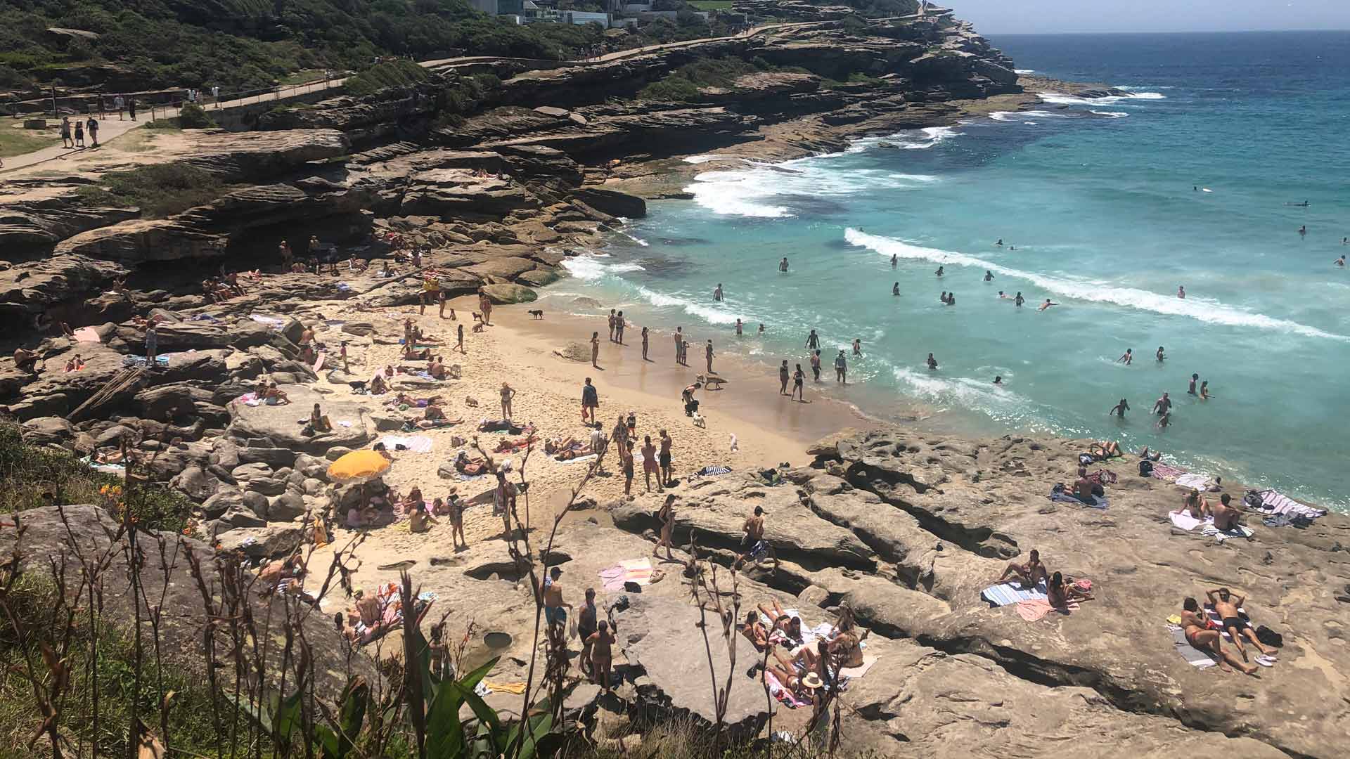 Sydney's Disappearing MacKenzies Bay Beach Has Made a Triumphant Return