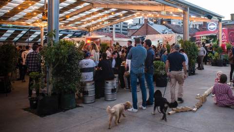 Melbourne's Best Dog-Friendly Bars, Cafes and Restaurants