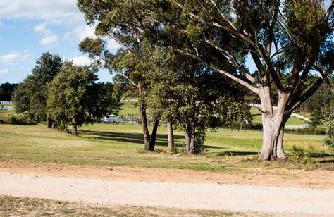 This Blue Mountains Farmstay Is Offering Half-Price Accommodation for the Rest of Summer