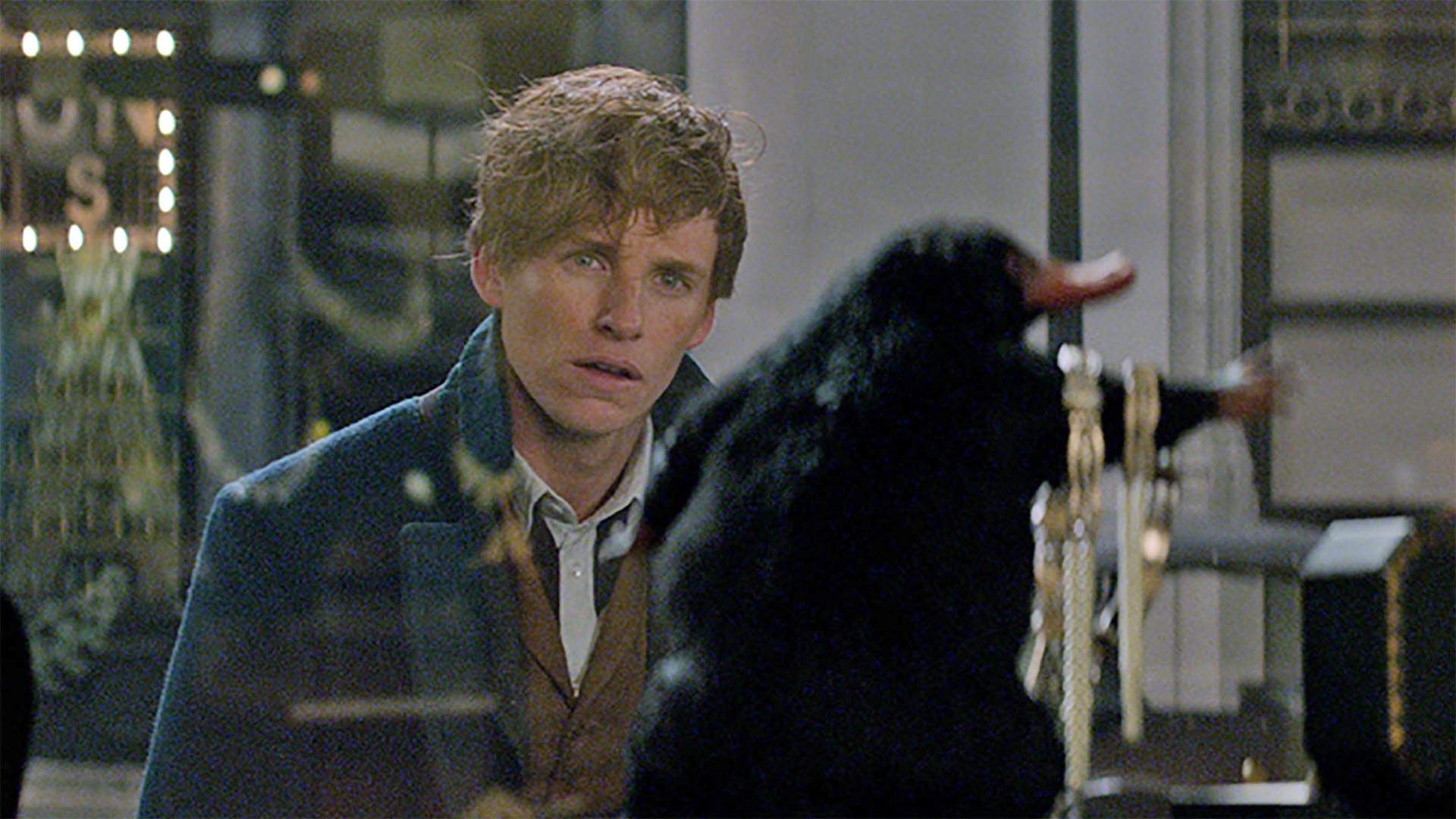 'Fantastic Beasts' Is Being Turned Into a Huge 'Harry Potter'-Themed Natural History Exhibition