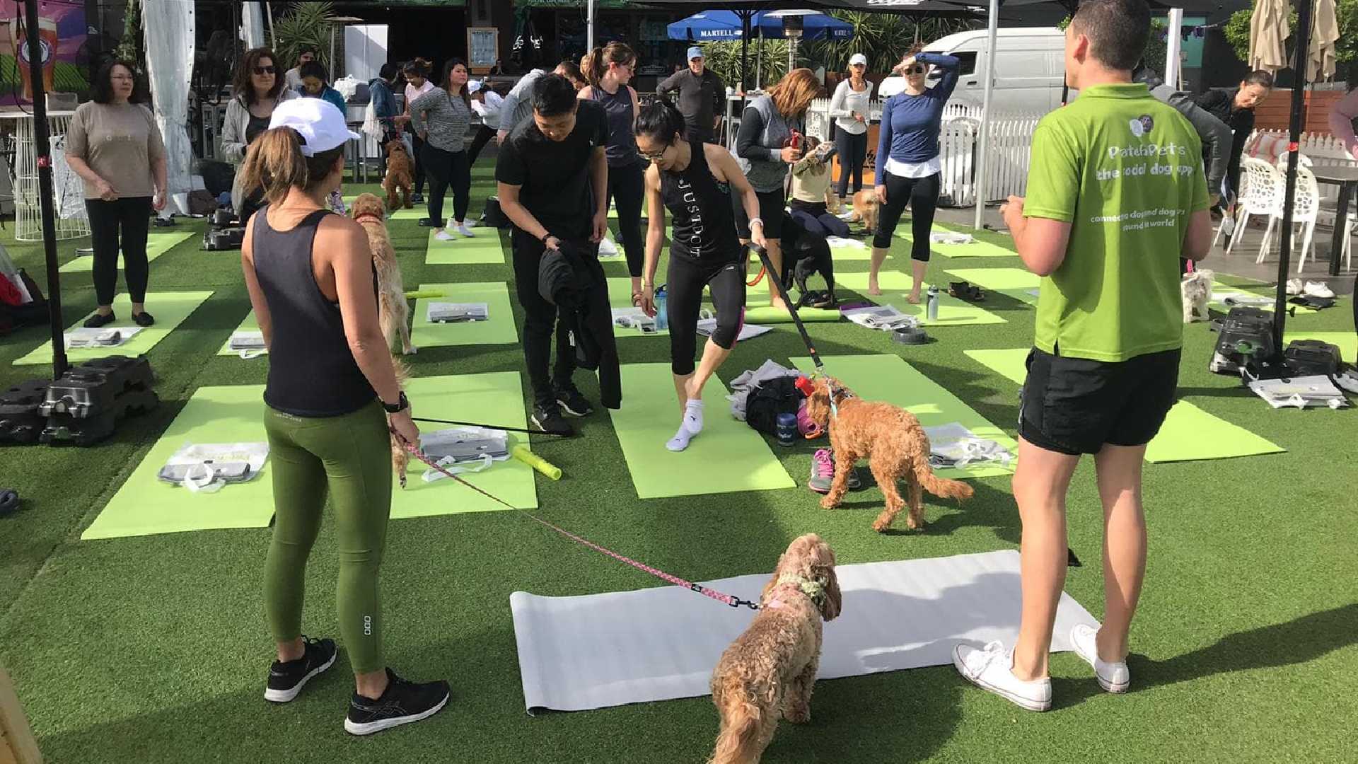 Pups & Pilates