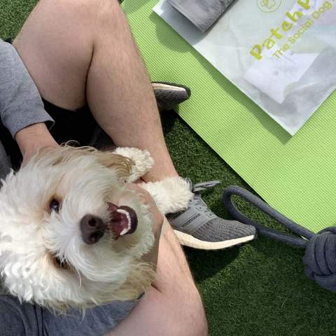 Pups & Pilates