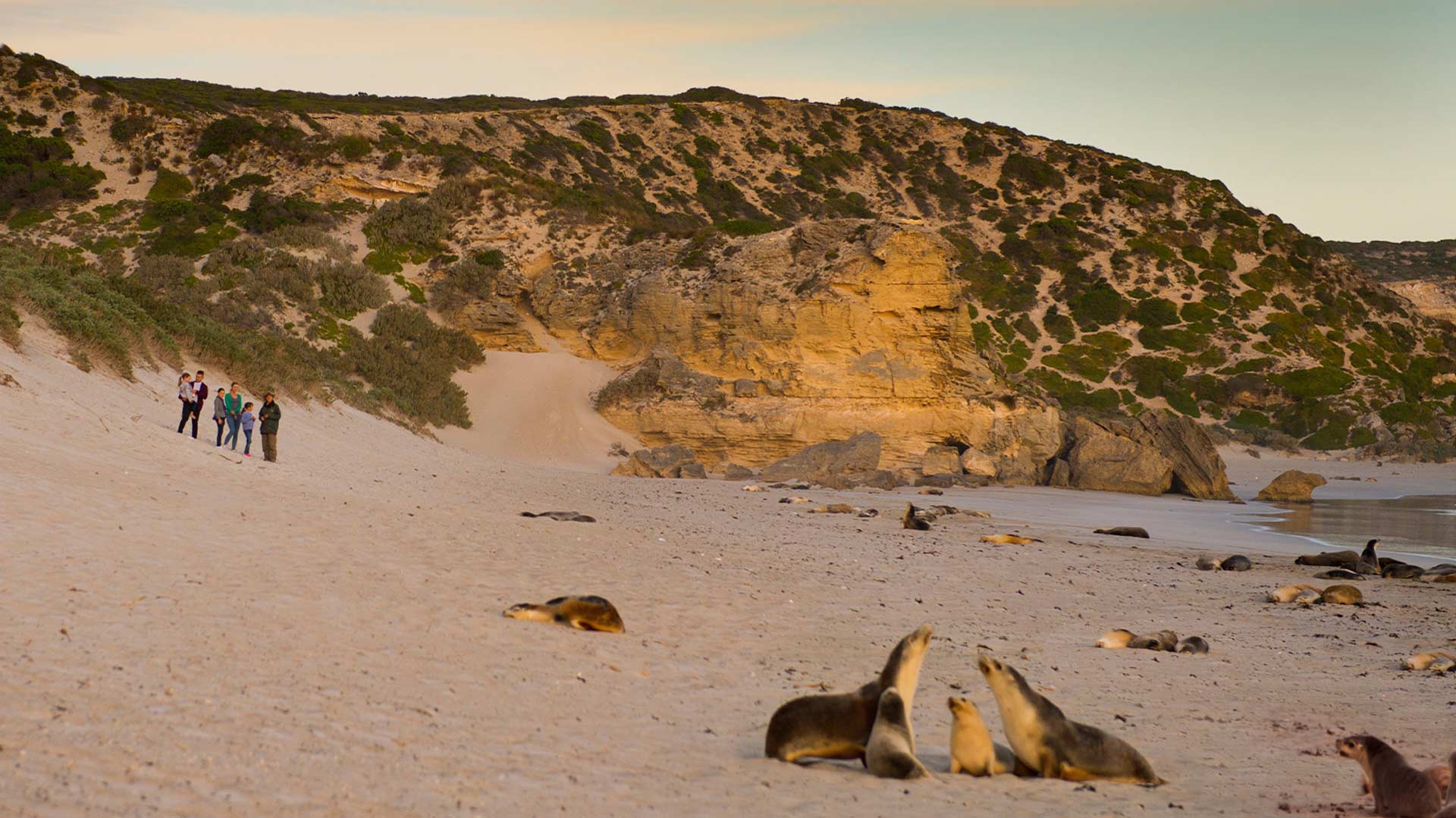 A Weekender's Guide to Kangaroo Island