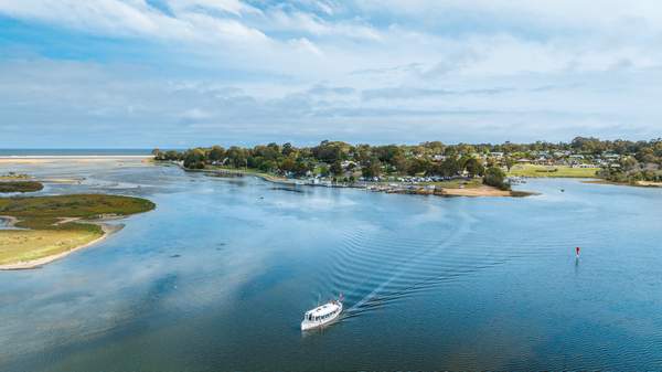 Wild Harvest Seafood Festival - Mallacoota