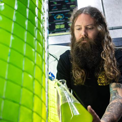 Beer & Algae: Brewing A Greener Future