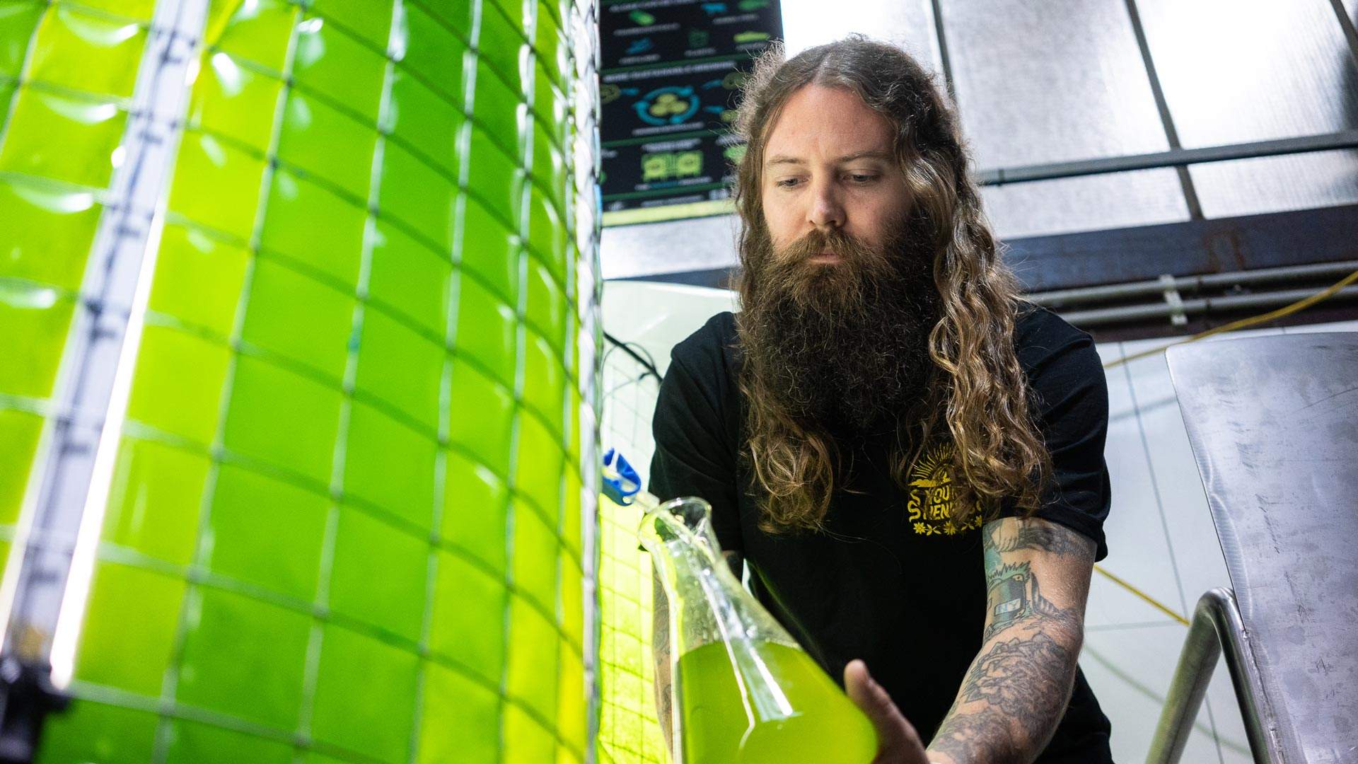 Beer & Algae: Brewing A Greener Future