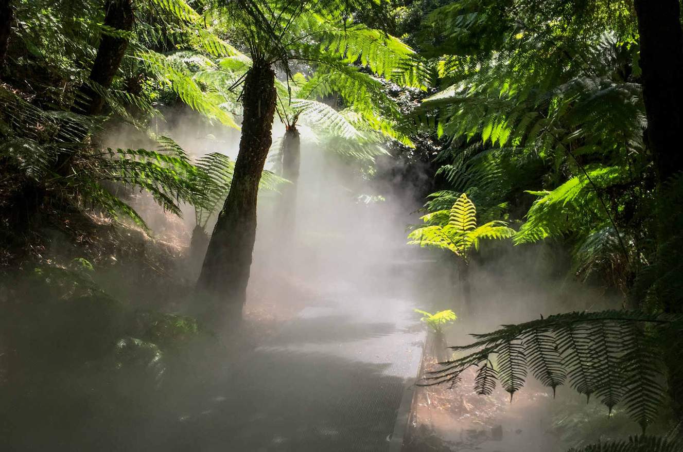 Australian National Botanic Gardens - Concrete Playground