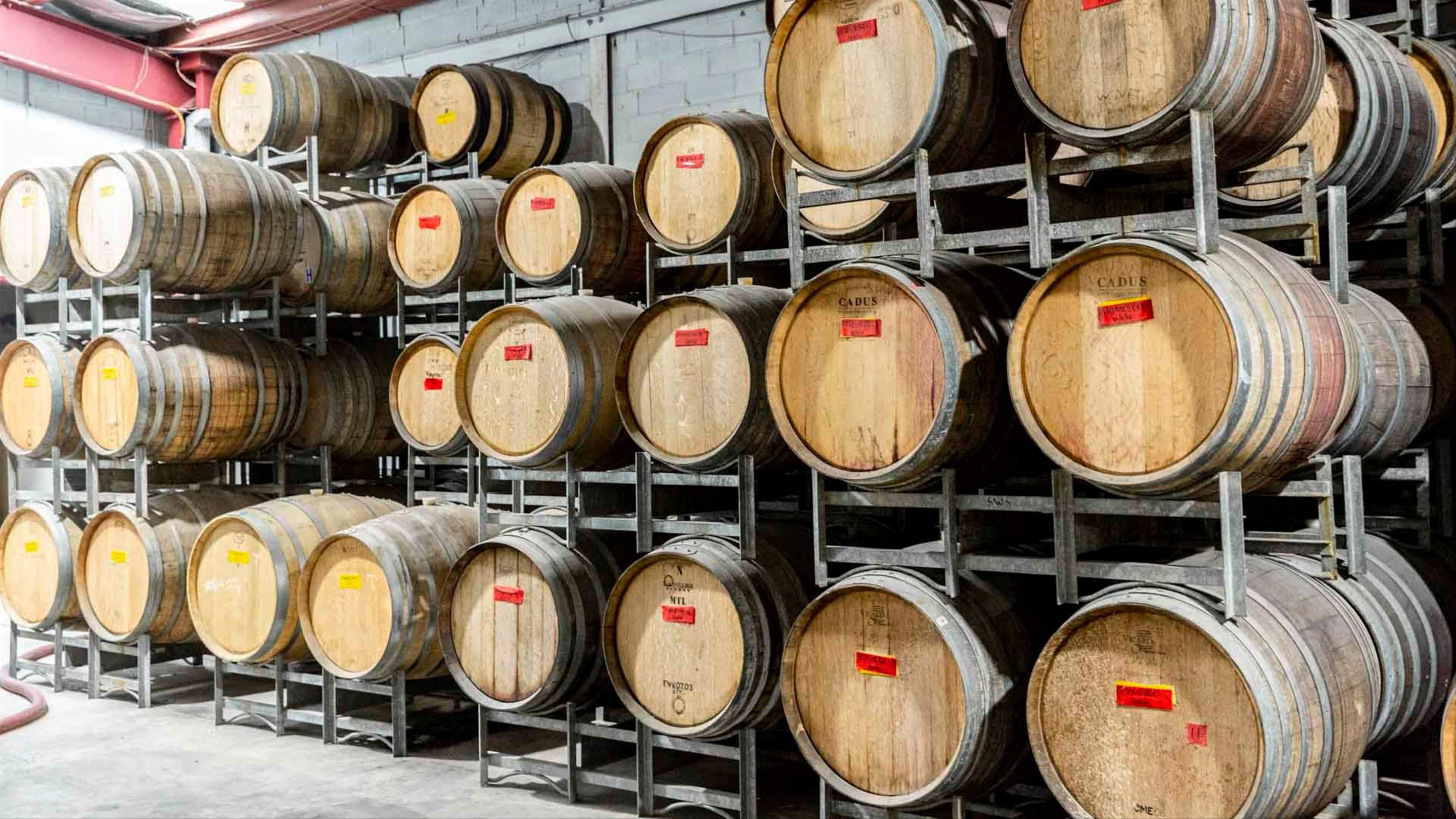 Jamsheed Wines, Preston Review