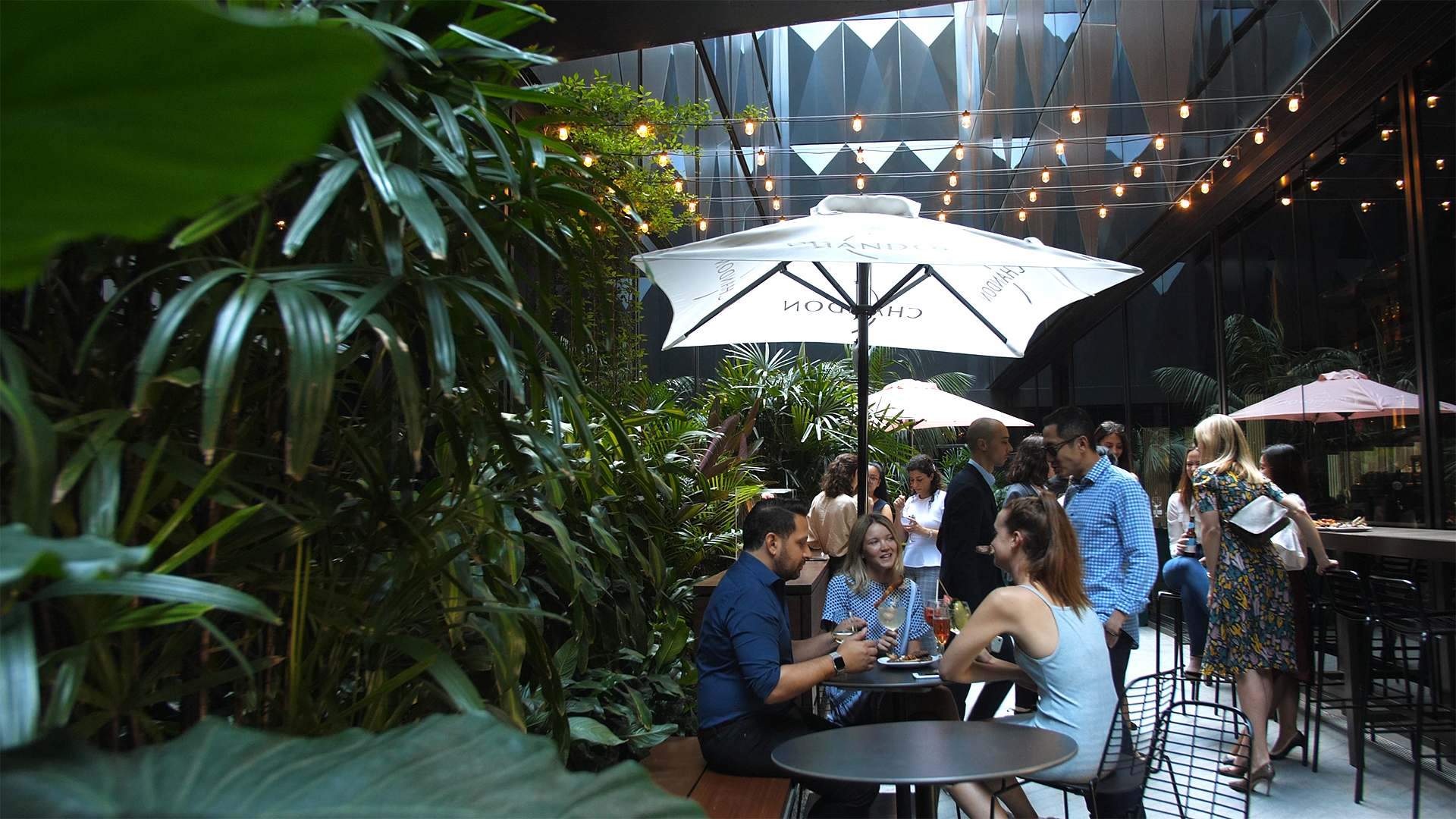 Jungle Bar Concrete Playground