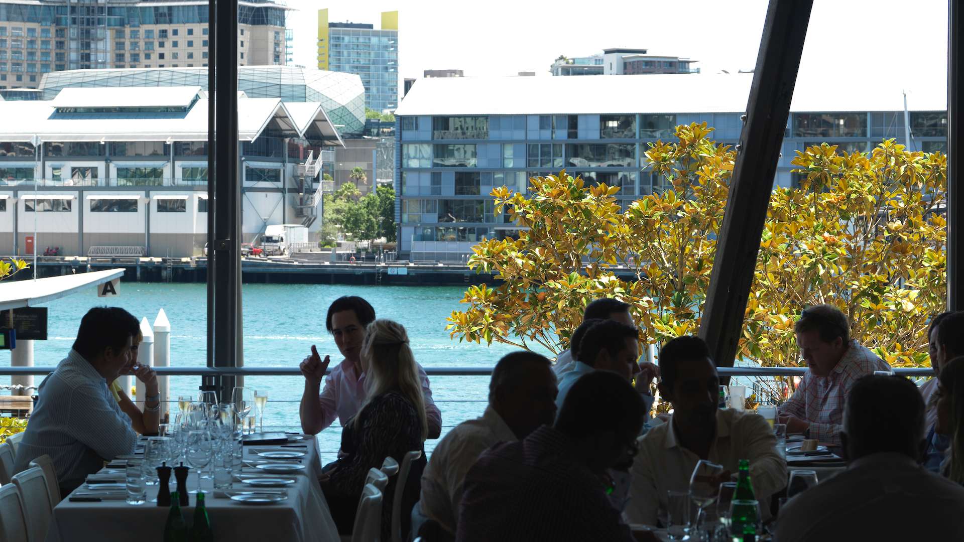 Valentine's Day at King Street Wharf