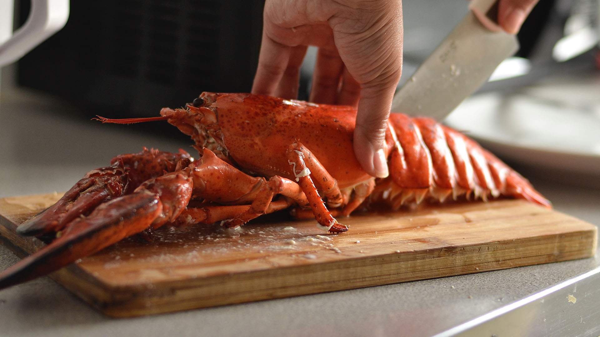Five-Course Lobster Menu