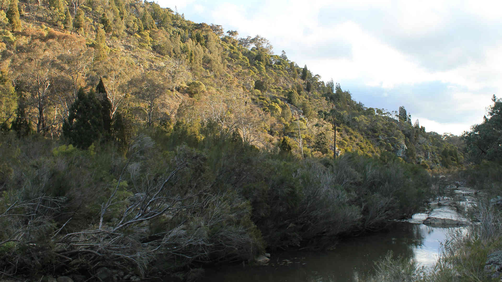 MOLONGLO GORGE TO BLUE TILES TRAIL