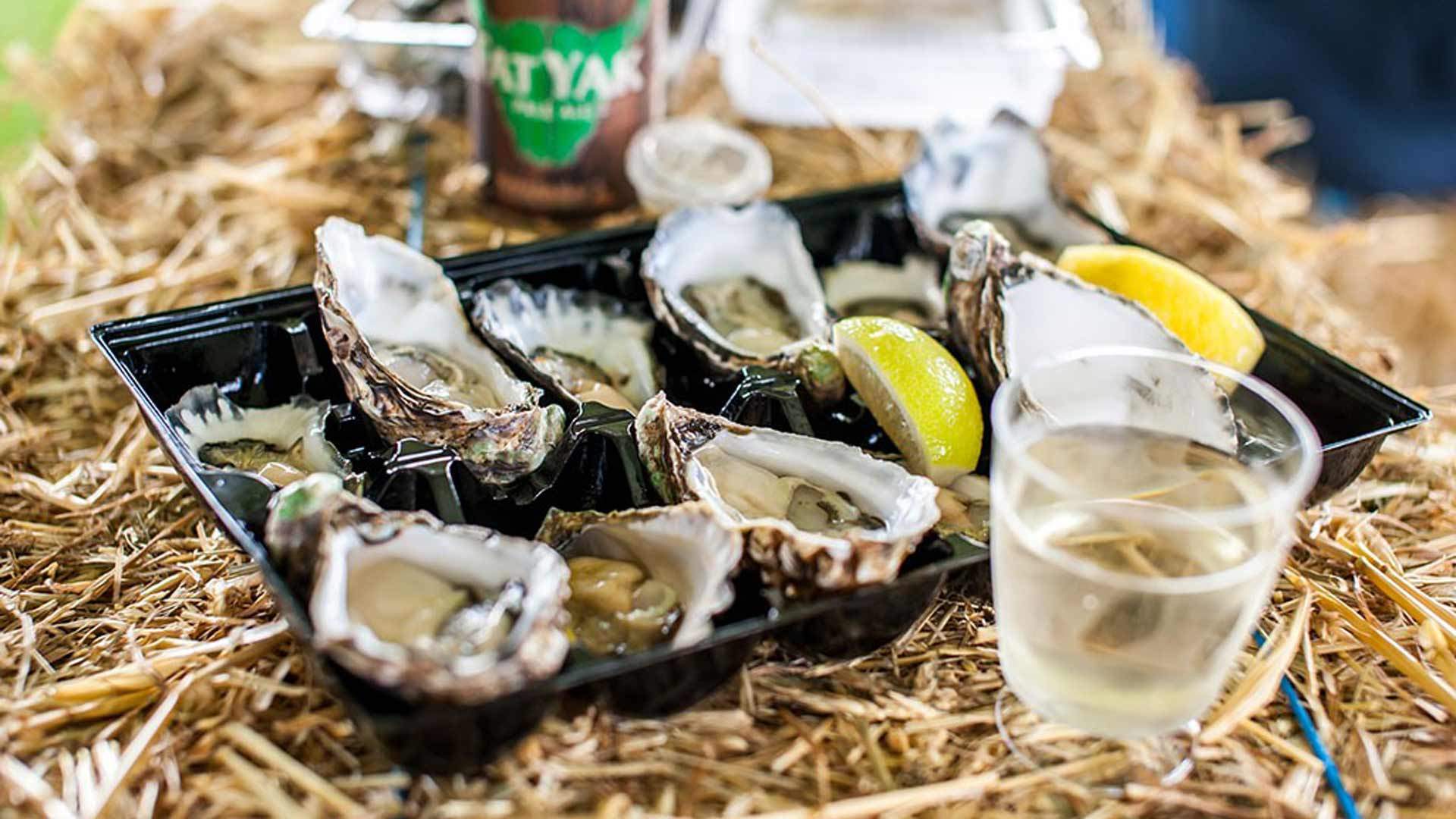 Narooma Oyster Festival 2024 Tickets Henka Kyrstin