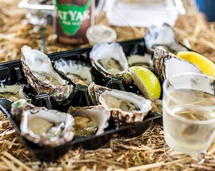 Narooma Oyster Festival 2023