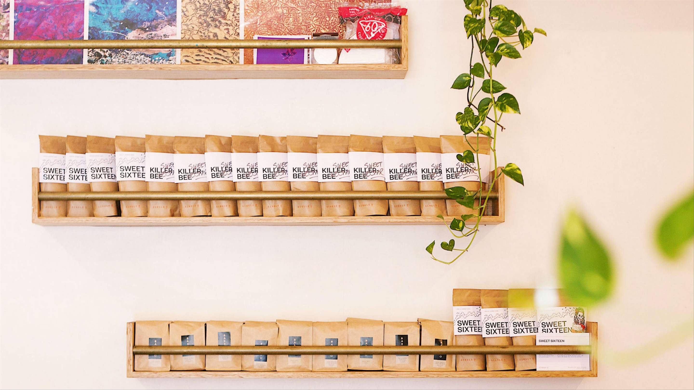 Opus Coffee Brewers, Wollongong Review