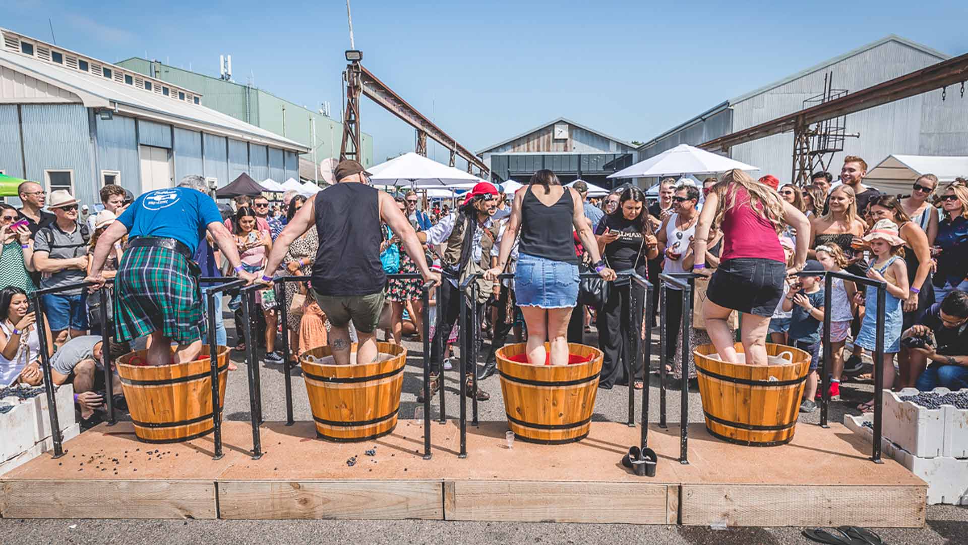 Wine & Cheese Fest 2020, Melbourne