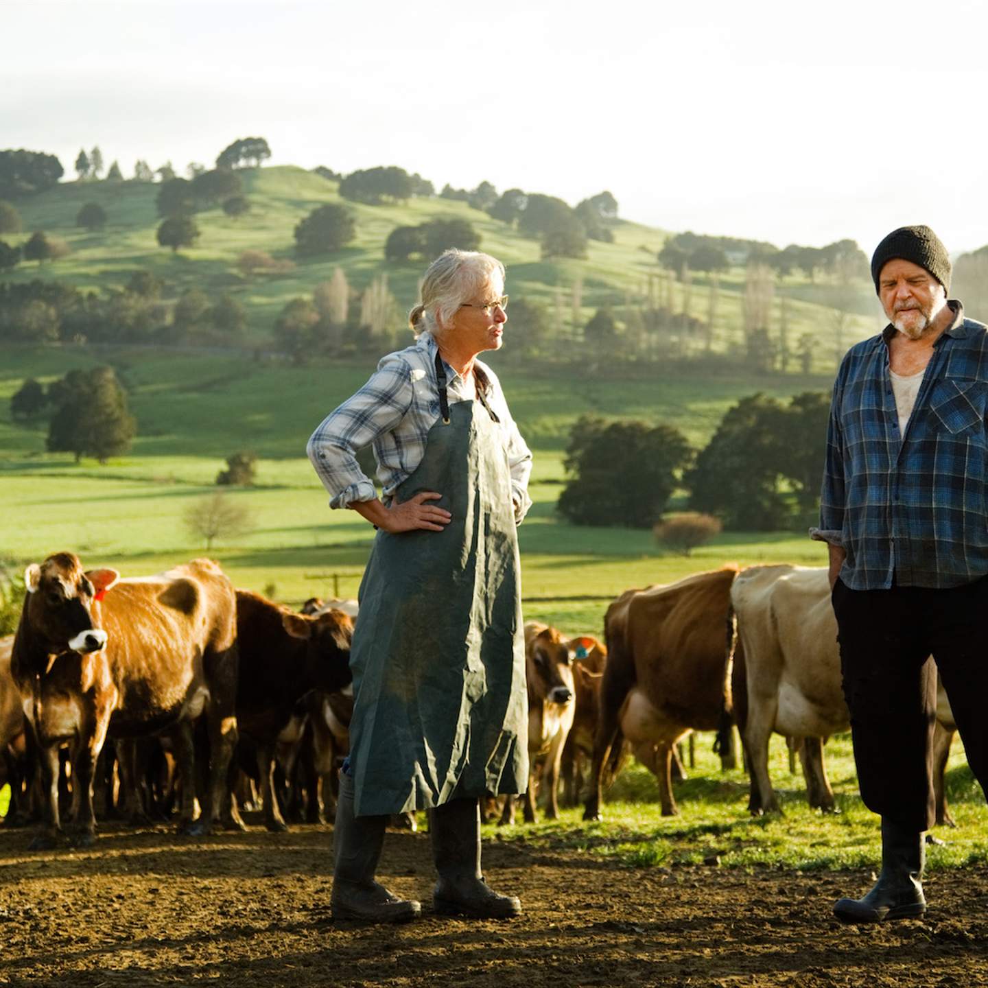 Wellington's Maoriland Film Festival Has Dropped a Huge Lineup for 2020 -  Concrete Playground