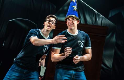 Potted Potter: The Unauthorised Harry Experience