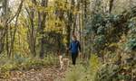 Eight Epic (But Easy) Walks You Can Do with Your Dog in Canberra This Year