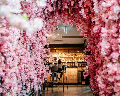 Cherry Blossom Rooftop Bar