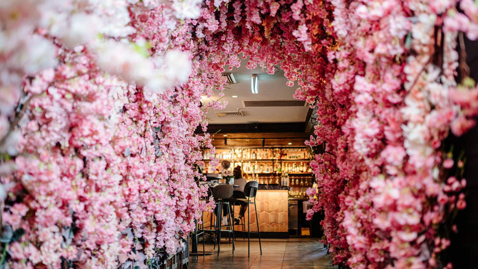 Cherry Blossom Rooftop Bar