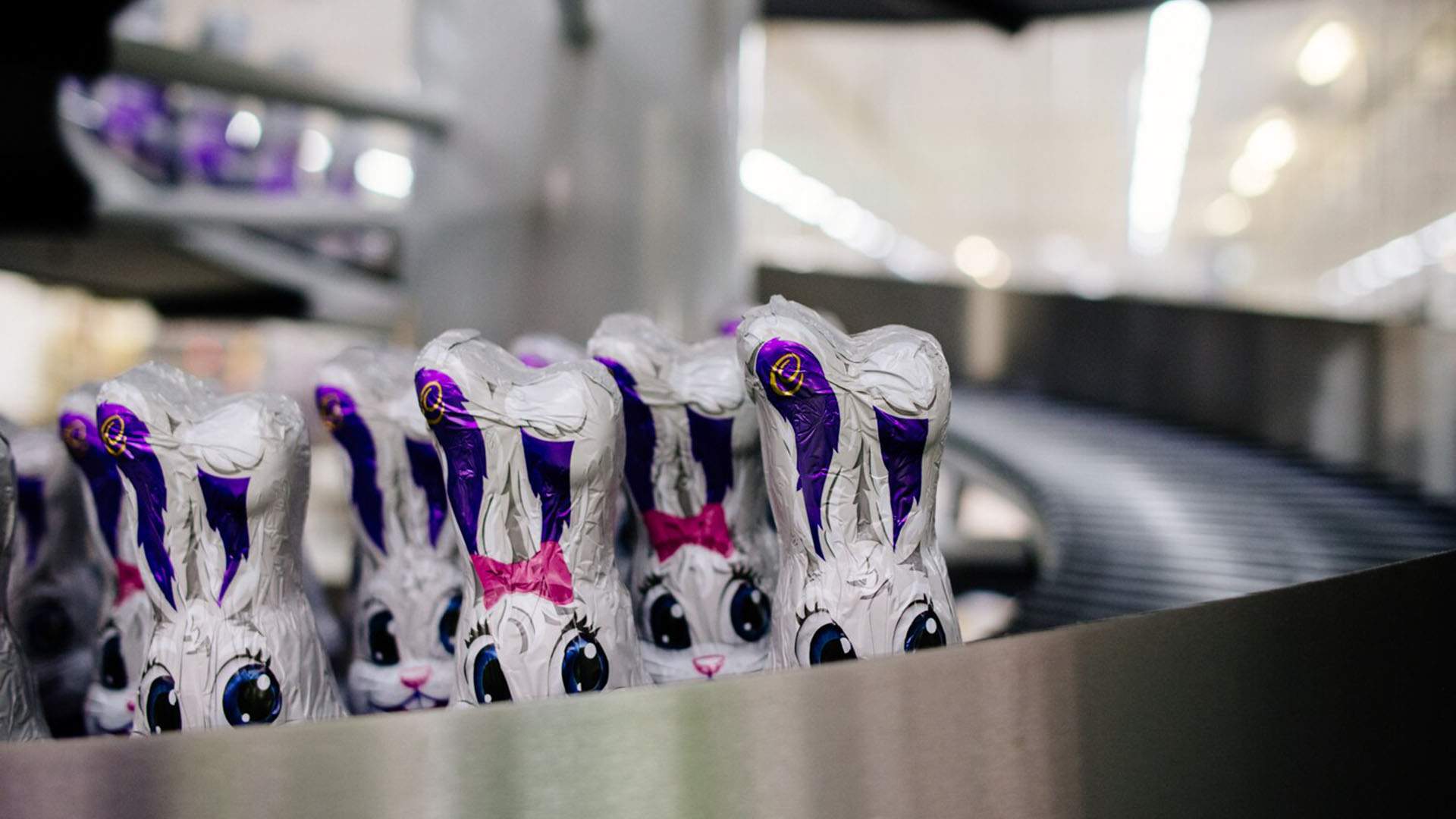 SBS's New Three-Hour Tour of a Cadbury Chocolate Factory Is the Content We Need Right Now