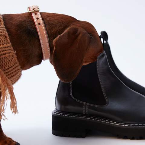 The Iconic Has Launched a Stylish New Pet Fashion Range for Supremely Adorable Dogs