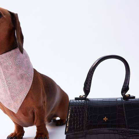 The Iconic Has Launched a Stylish New Pet Fashion Range for Supremely Adorable Dogs