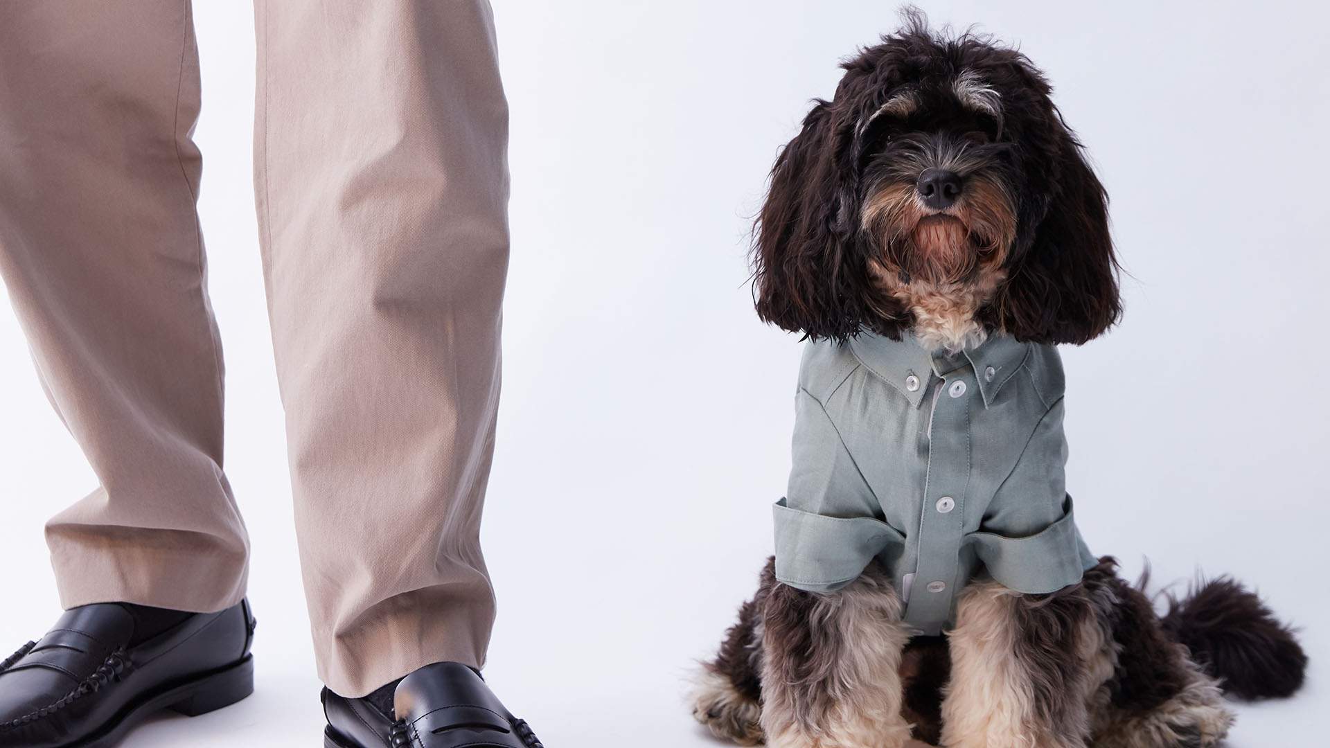 The Iconic Has Launched a Stylish New Pet Fashion Range for Supremely Adorable Dogs