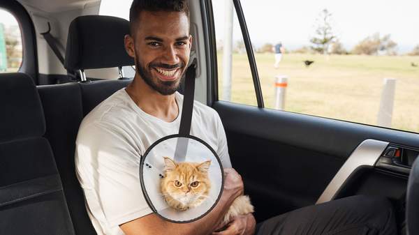 Uber Is Launching A Pet Friendly Option In Australia So You Can Finally Take Fido For A Ride Concrete Playground