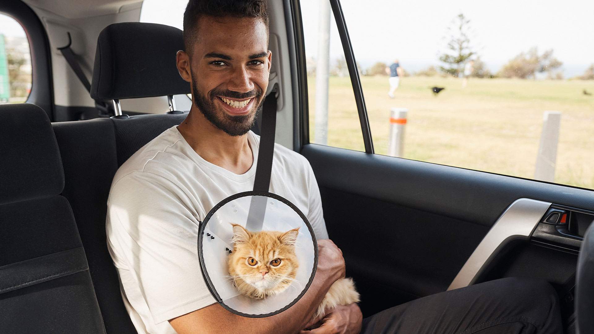 Uber Is Launching a Pet-Friendly Option 