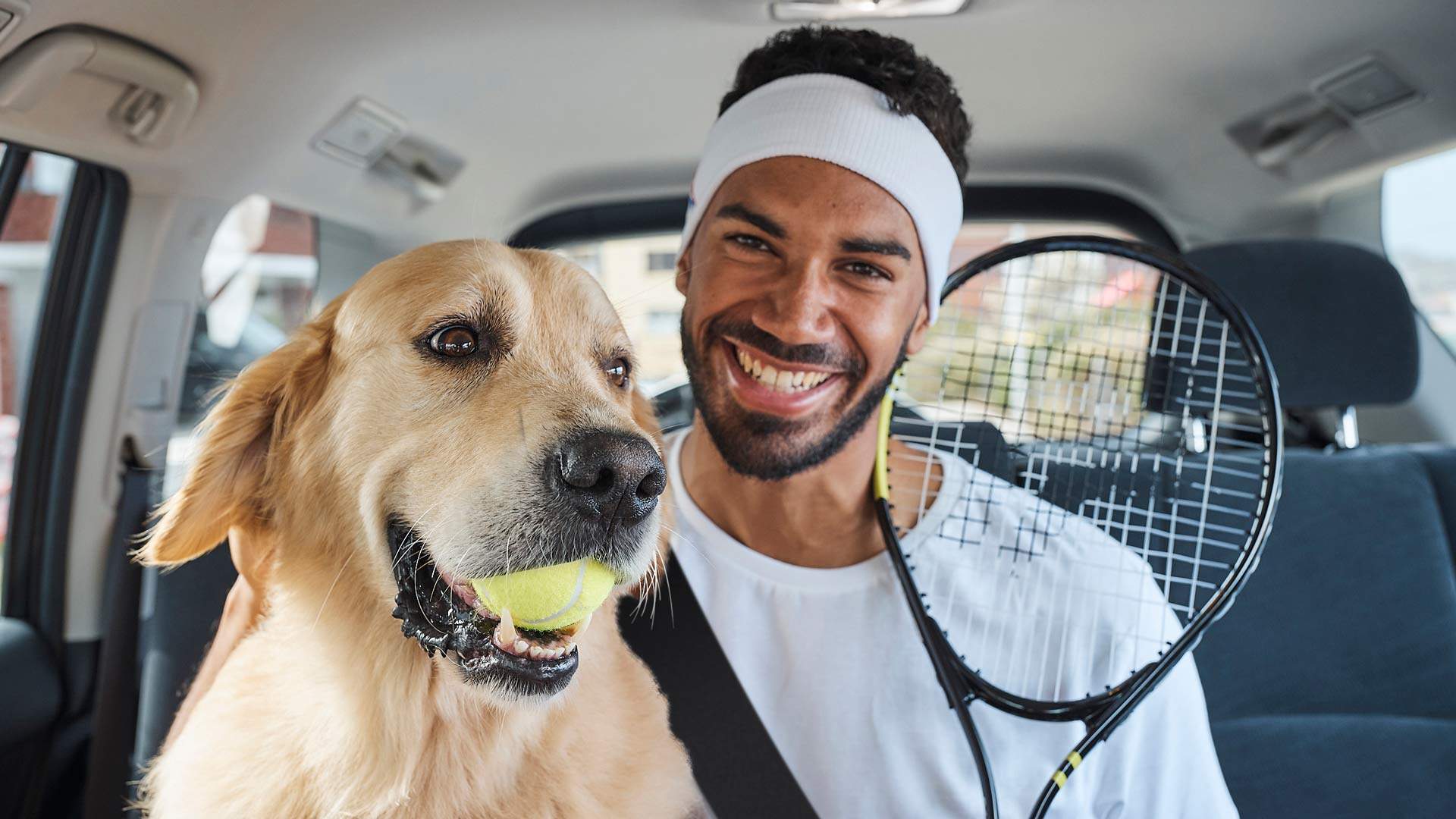 uber-is-launching-a-pet-friendly-option-in-australia-so-you-can-finally