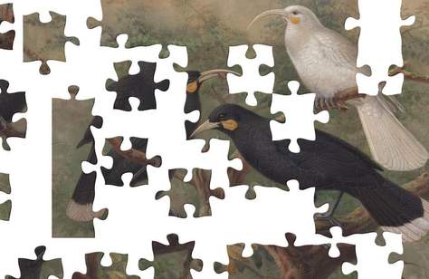 Te Papa: Online Jigsaw Puzzles