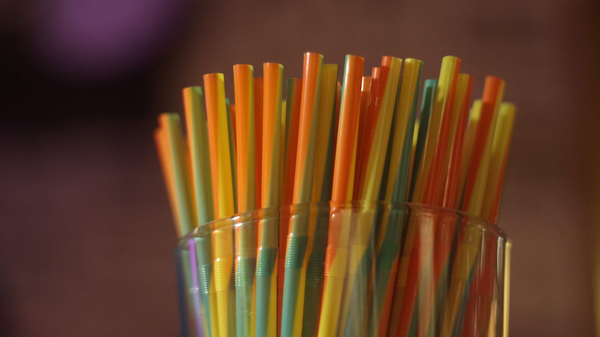 The Queensland Government Is Asking for Your Thoughts on Its Proposed Single-Use Plastics Ban