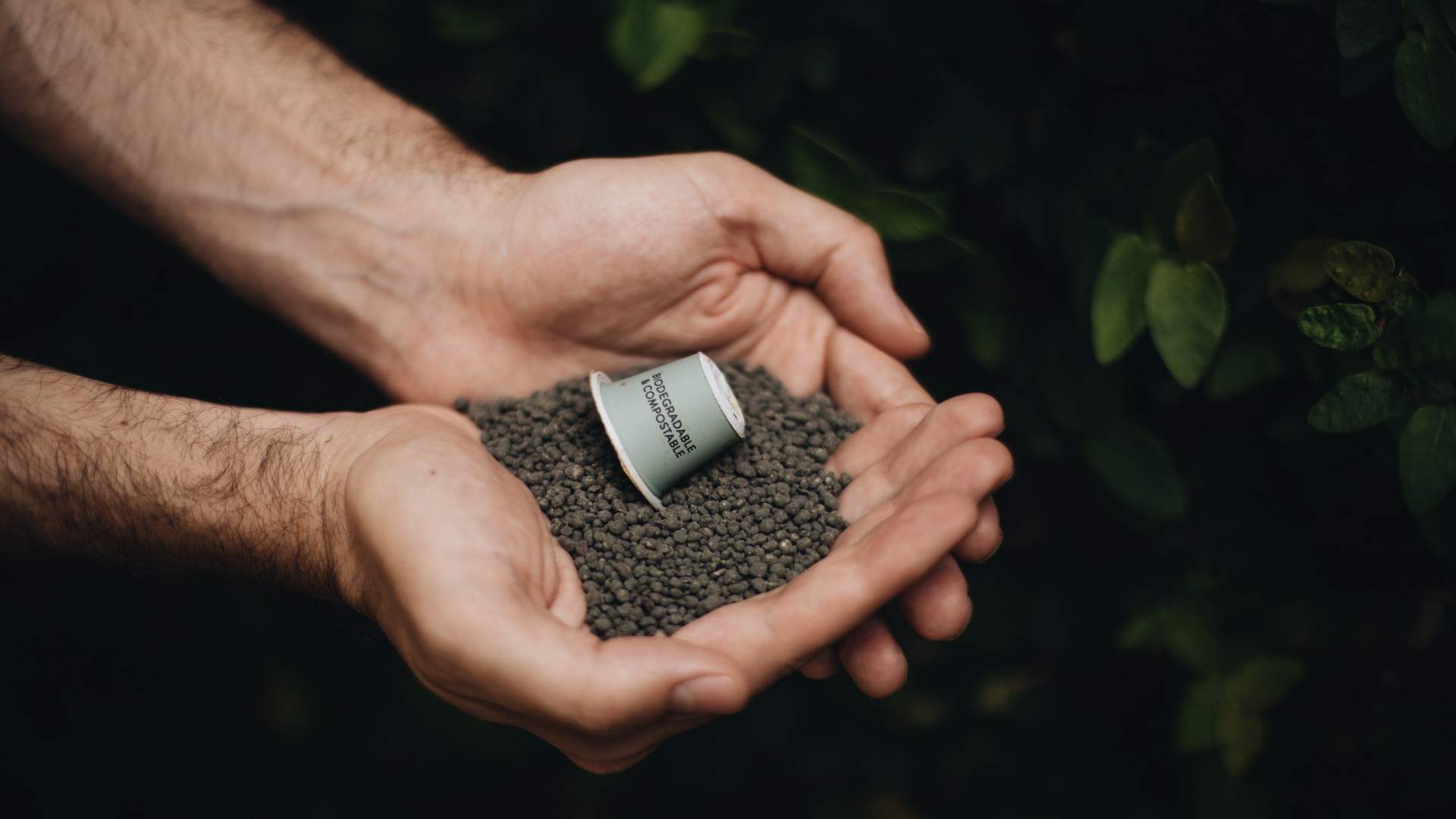 Man holding Tripod coffee capsule with coffee pellets