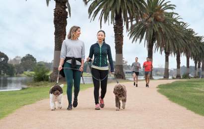 Background image for Melbourne's Best Dog-Friendly Parks and Beaches for the Ultimate Pup Time