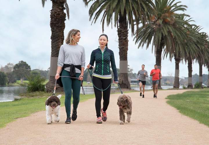 Background image for Melbourne's Best Dog-Friendly Parks and Beaches for the Ultimate Pup Time