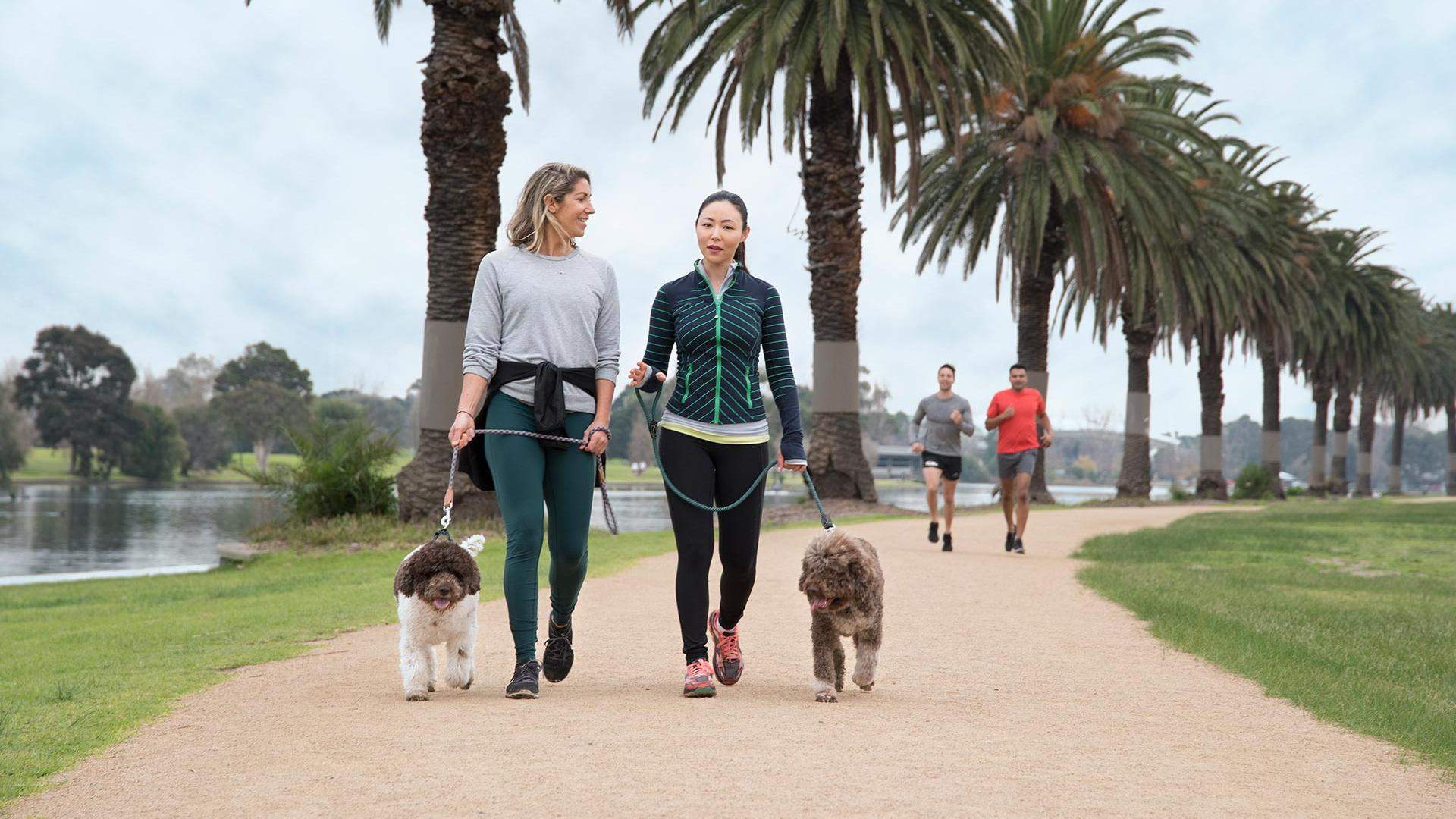 Albert Park - one of the best walks in Melbourne.