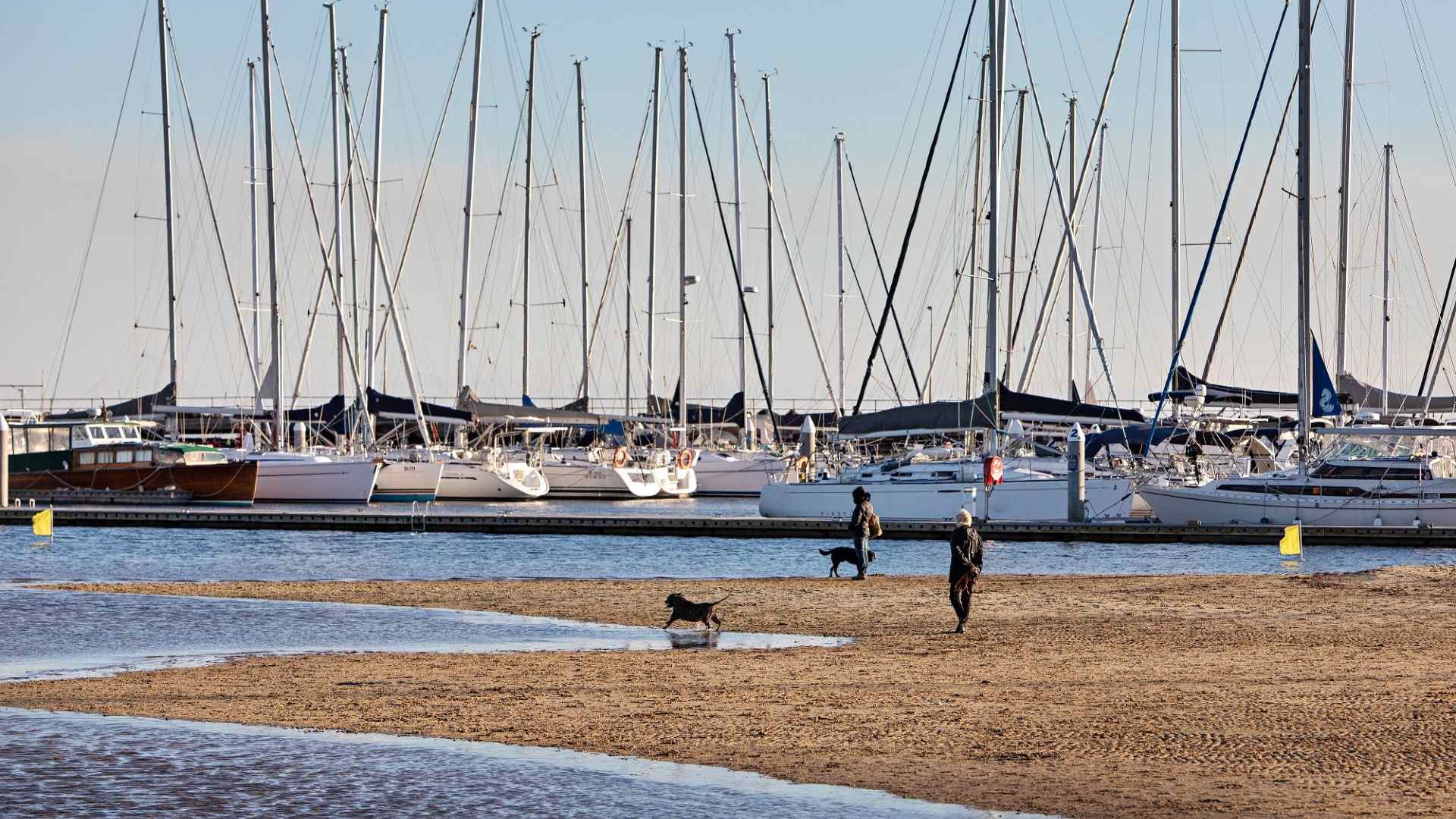 dog friendly parks trail leash off-leash Melbourne