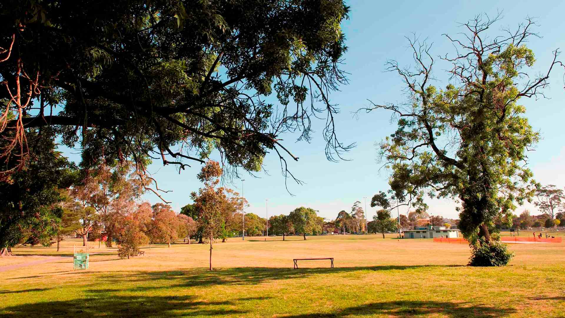dog friendly parks trail leash off-leash Melbourne