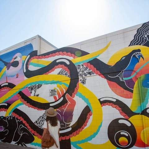 Woman looking at street art in Darwin