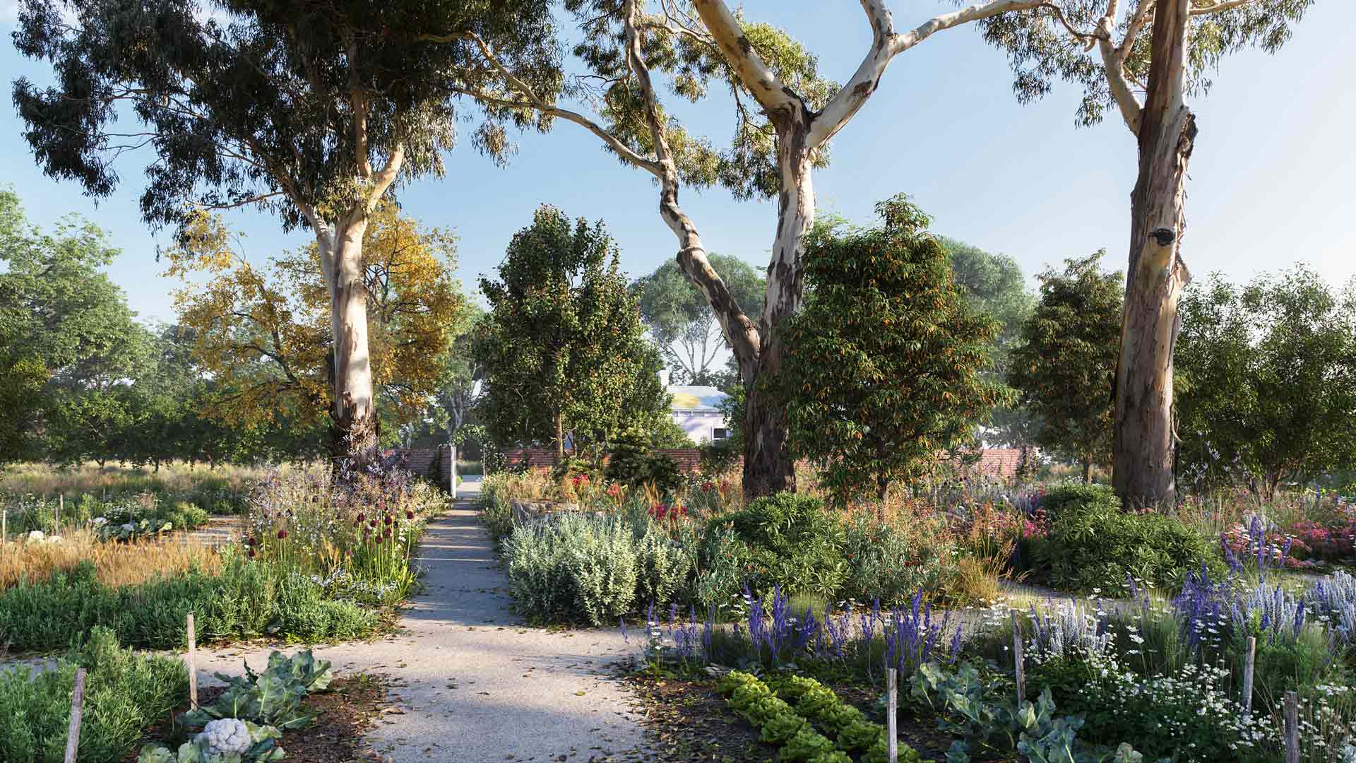 A Healing Garden Is Opening at Melbourne's Heide Museum of Modern Art This Year