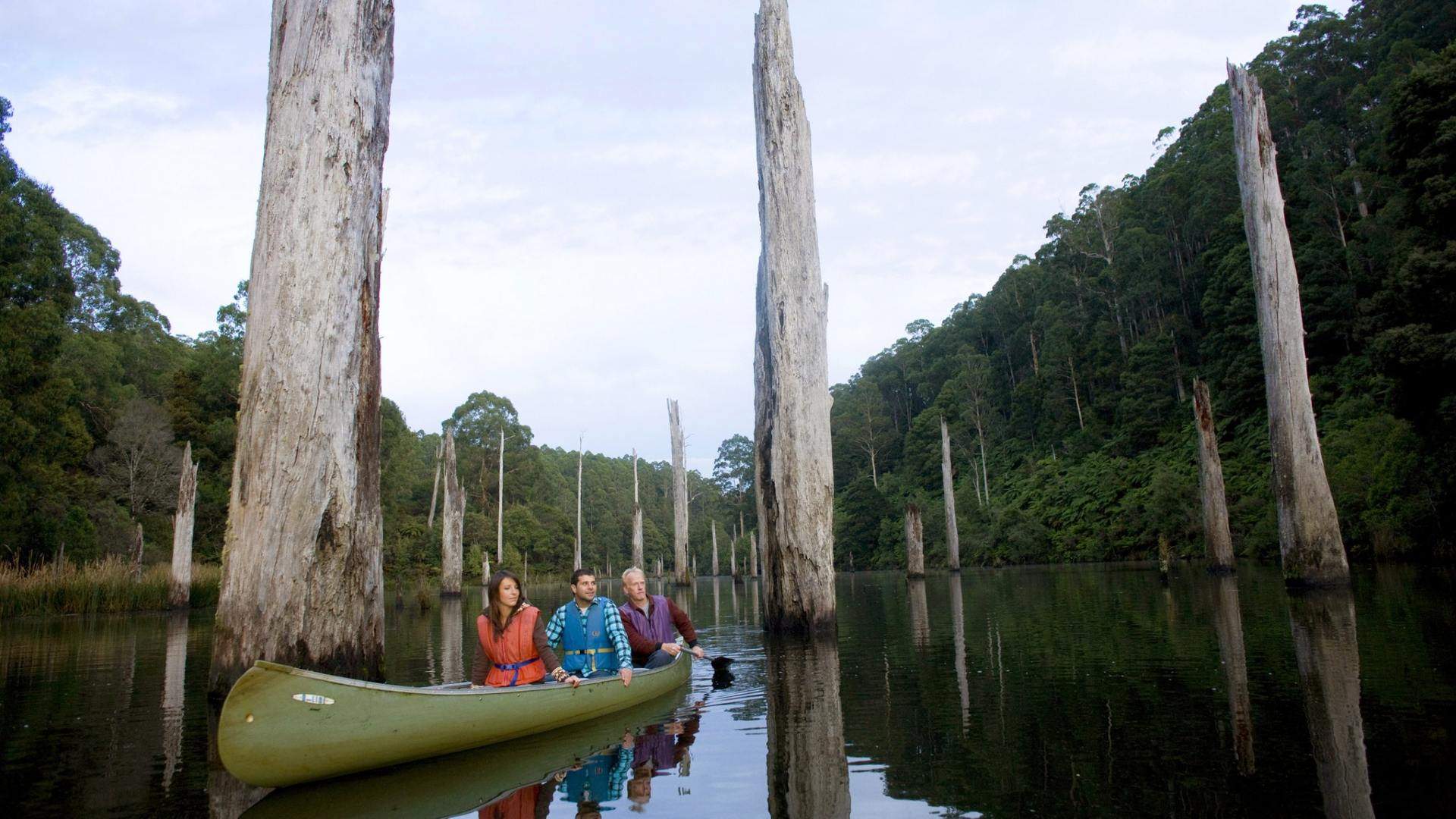 Eight Kayaking and Canoeing Spots Located a Short Drive from Melbourne