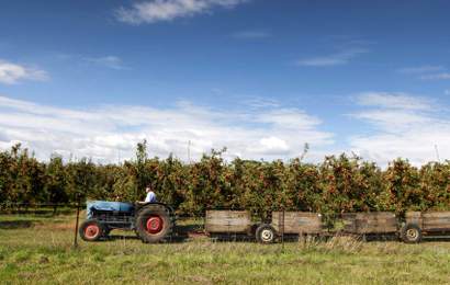 Background image for A Road Tripper's Guide to Central West NSW from Bathurst to Parkes