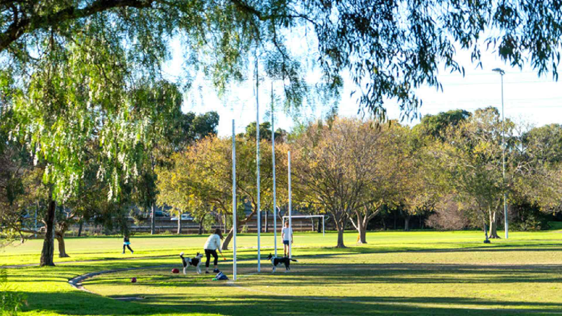 dog friendly parks trail leash off-leash Melbourne