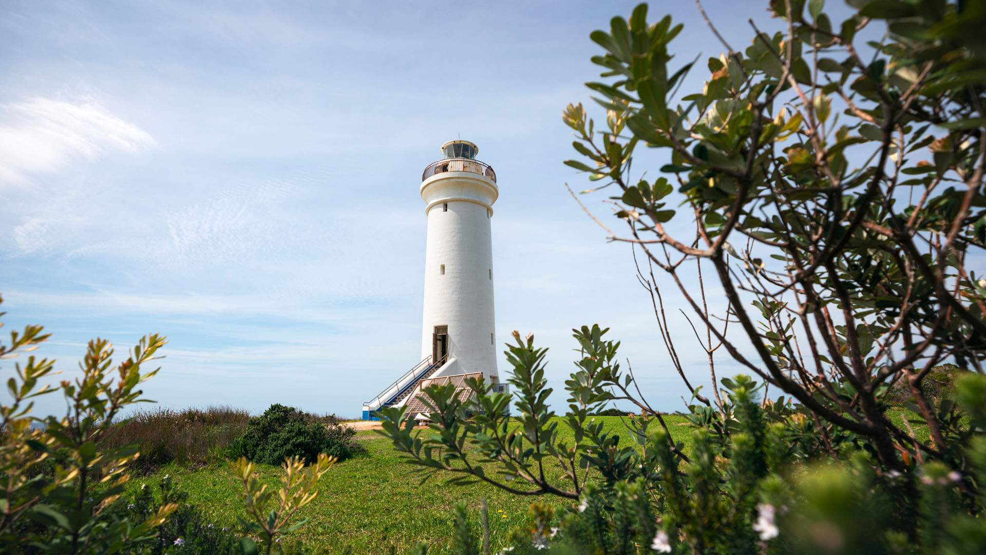Fingal Island Eco-Walk and Lighthouse Tour